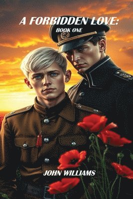 bokomslag Forbidden Love