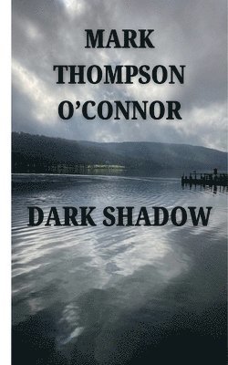 bokomslag DARK SHADOW