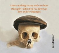 bokomslag I have nothing to say, only to show / Does gen i ddim byd i'w ddweud, dim ond i'w ddangos