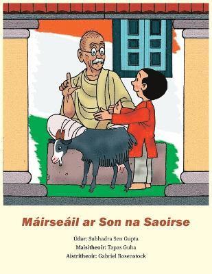 bokomslag Máirseáil ar Son na Saoirse