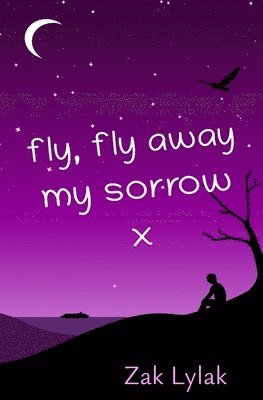 bokomslag Fly, Fly Away My Sorrow