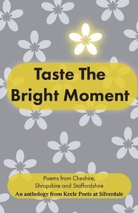 bokomslag Taste The Bright Moment