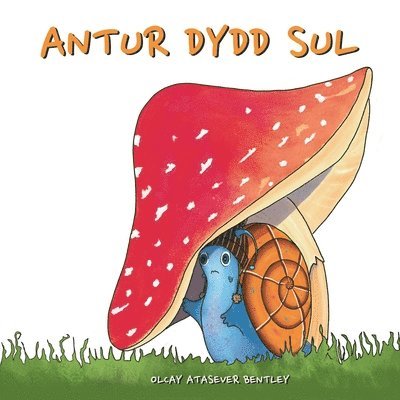 ANTUR DYDD SUL 1