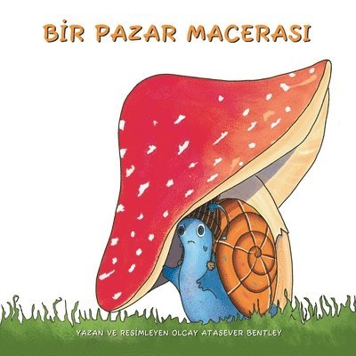 PAZAR MACERASI