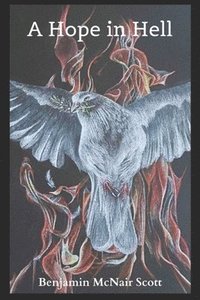 bokomslag A hope in hell: Making a case for Christian Universalism