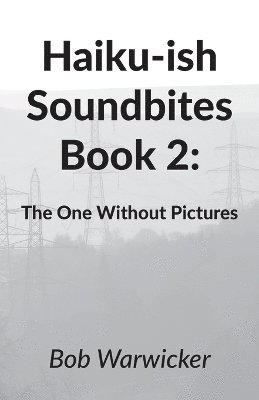 bokomslag Haiku-ish Soundbites Book 2