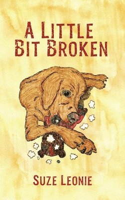 bokomslag Little Bit Broken