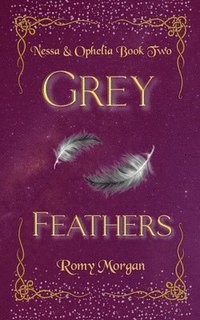 bokomslag Grey Feathers