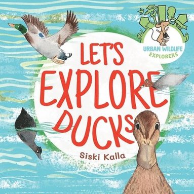 bokomslag Let's Explore Ducks