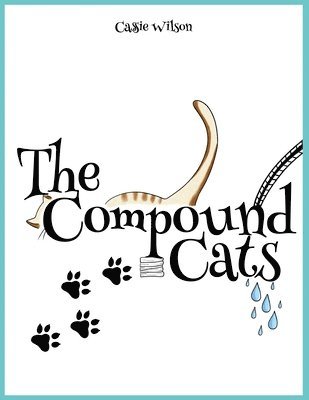 bokomslag Compound Cats