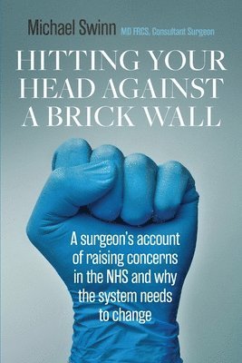 bokomslag Hitting Your Head Against A Brick Wall