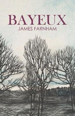 bokomslag Bayeux