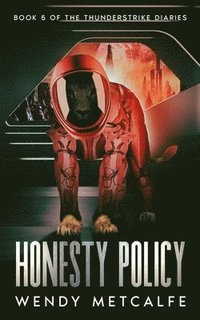 bokomslag Honesty Policy