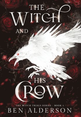 The Witch and His Crow 1