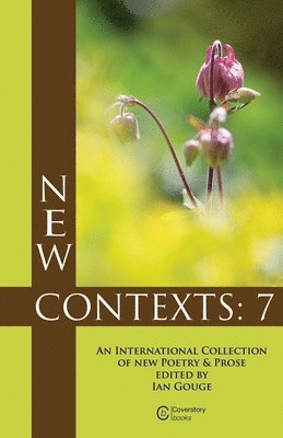 Ian Gouge - New Contexts: 7, Häftad