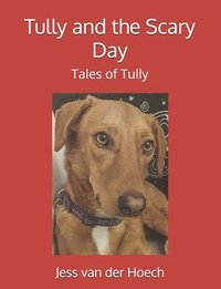 bokomslag Tully and the Scary Day