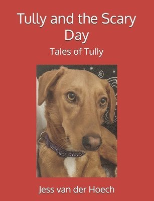 bokomslag Tully and the Scary Day