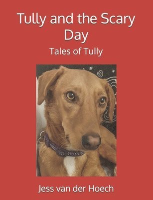 bokomslag Tully and the Scary Day