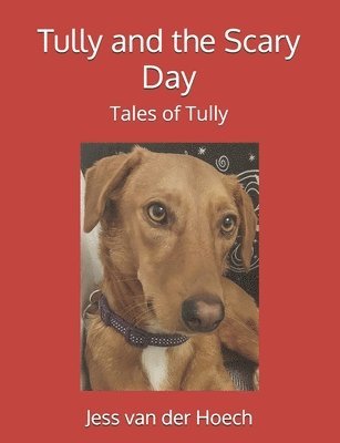 Tully and the Scary Day 1