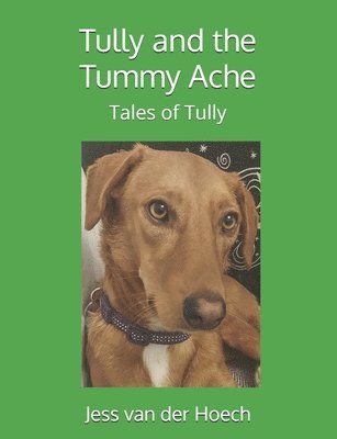 Tully and the Tummy Ache 1