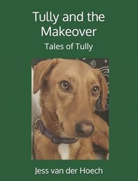 bokomslag Tully and the Makeover