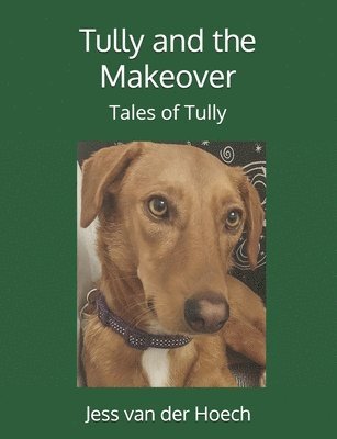 Tully and the Makeover 1