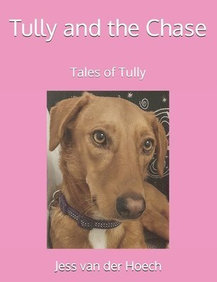 Tully and the Chase 1