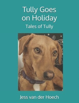 Tully Goes on Holiday 1