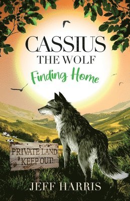 bokomslag Cassius the Wolf: