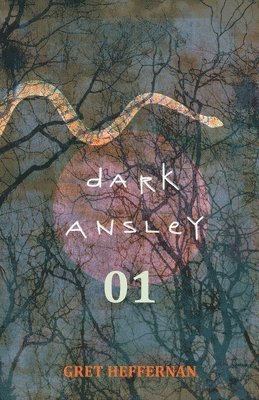 bokomslag Dark Ansley 01