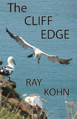 bokomslag CLIFF EDGE