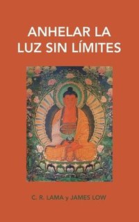 bokomslag Anhelar la luz sin límites: dejar entrar la luz del amor de Buda Amitaba