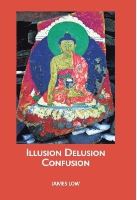 bokomslag Illusion Delusion Confusion