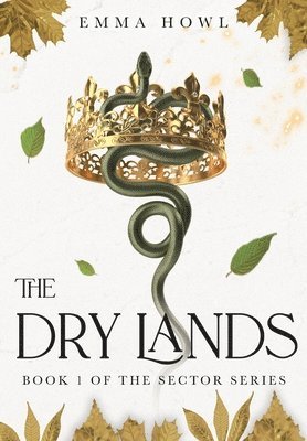 The Dry Lands 1