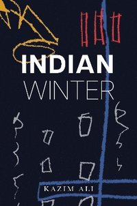 bokomslag Indian Winter