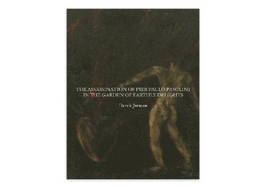 Derek Jarman - Assassination of Pier Paolo Pasolini in the Garden of Earthly Delights, Häftad