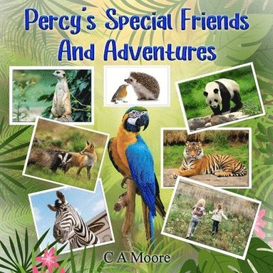 bokomslag Percy's Special Friends And Adventures