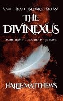 bokomslag Divinexus