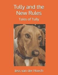 bokomslag Tully and the New Rules