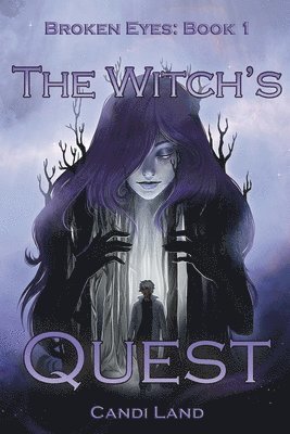 bokomslag Witch's Quest