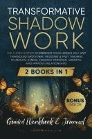 bokomslag Transformative Shadow Work