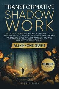 bokomslag Transformative Shadow Work