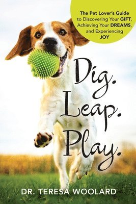 bokomslag Dig. Leap. Play.