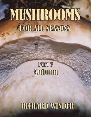 bokomslag Mushrooms For All Seasons