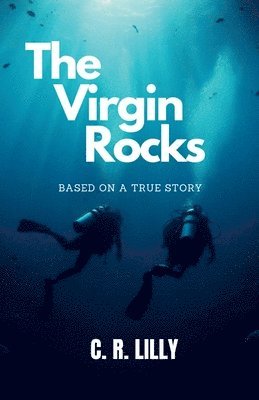 bokomslag Virgin Rocks