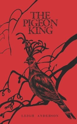 The Pigeon King 1