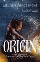 bokomslag Origin