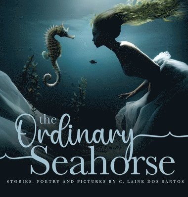 bokomslag Ordinary Seahorse