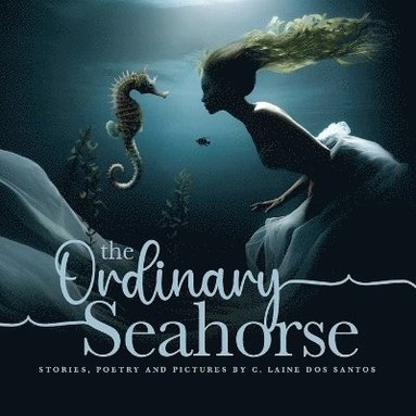 bokomslag Ordinary Seahorse