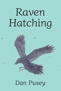 bokomslag Raven Hatching